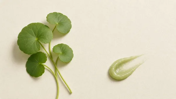 Round green centella leaves on a stem beside a pale green gel swatch