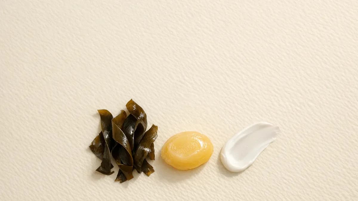 A small pile of dark olive seaweed ribbons, a round dollop of glossy golden balm and a swipe of white cream in a row on cream paper
